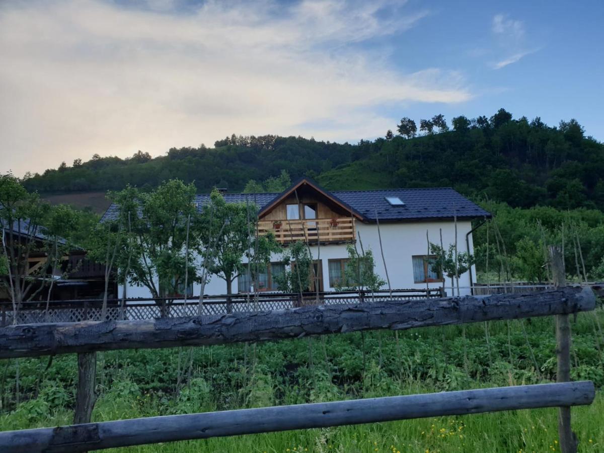 Pensiunea Ilea Ieud ภายนอก รูปภาพ